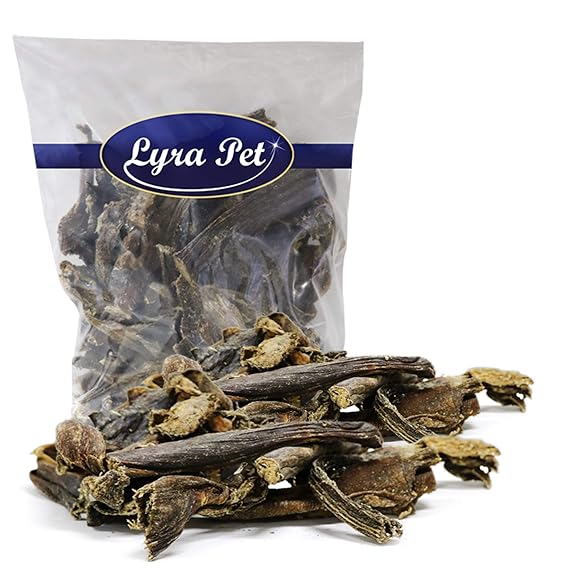 Lyra Pet® 2 kg Rinderpansen 2000 g getrocknet Hundefutter Kausnack Kauartikel