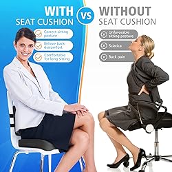 CushZone Seat Cushion, Lumbar Support Pillow with