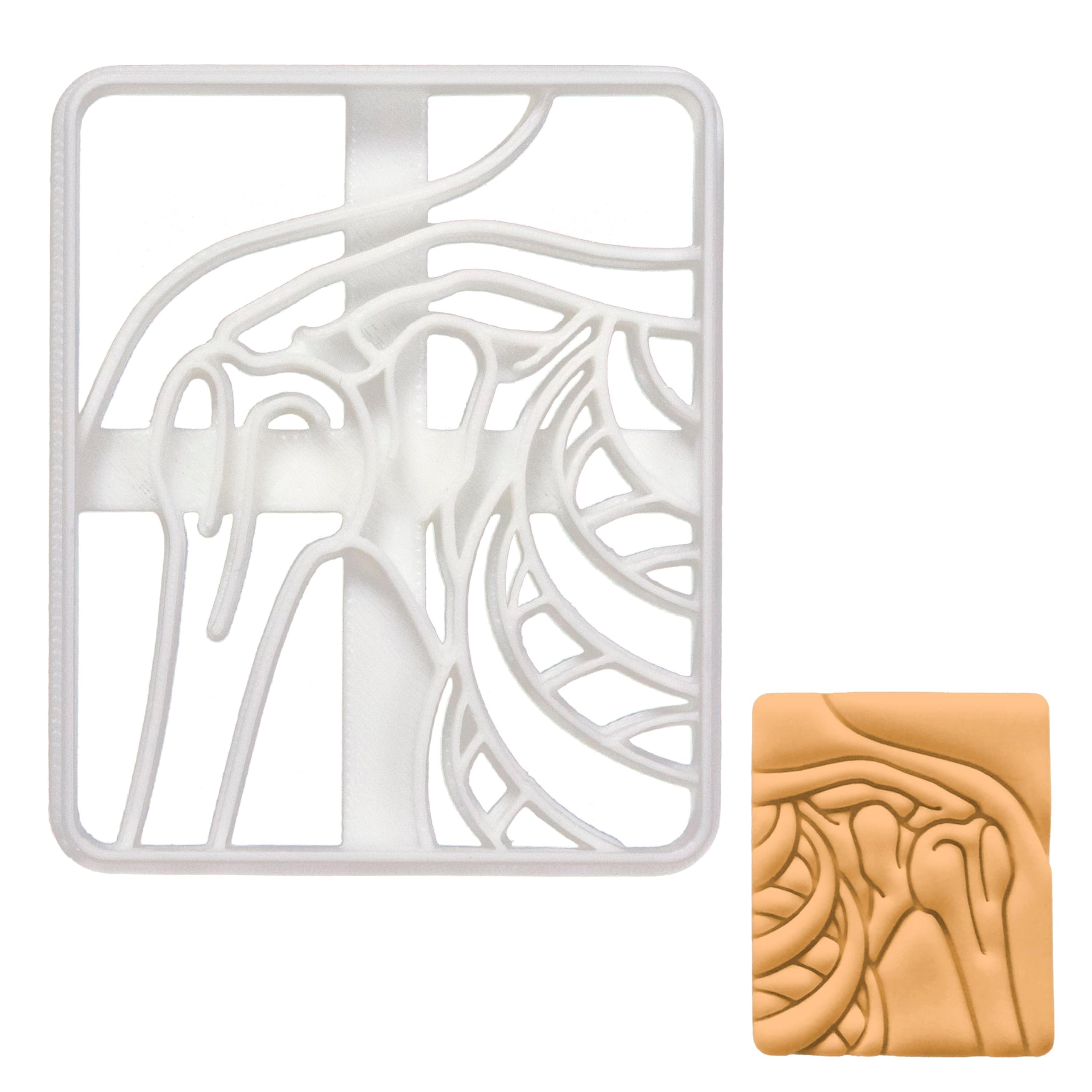 BAKERLOGY Shoulder X-Ray Cookie Cutter - Detailed Biscuit Cutter Design for Baking and Crafts, Ideal on Fondant, Dough, Clay