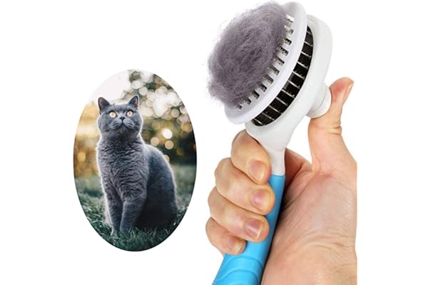 best pet brush