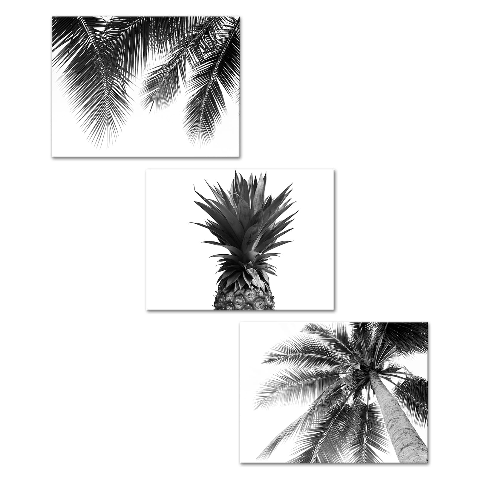 Photo 1 of KREATIVE ARTS 3 Pieces Modern Elegant Black And White Palm Tree Leaves and Pineapple Giclee Canvas Prints Wall Art Picture Living Room Bedroom Home Decorations Each Size 12x16 Inches
