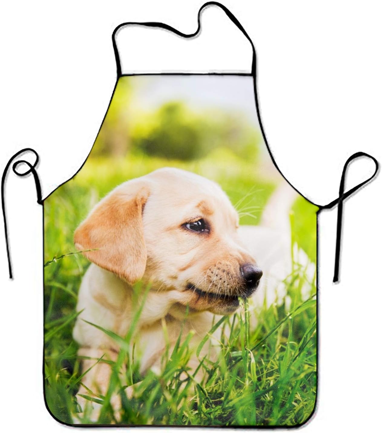Amazon ゴールデンレトリーバー芝生ラブラドール子犬犬エプロン ロング ポケット付 料理 仕事 作業用 おしゃれ 首掛け カフェ風 男女兼用 大人 レディース メンズ フリーサイズ エプロン オンライン通販 Amazon ゴールデンレトリーバー芝生ラブラドール子犬犬エプロン ロング ポケット付 料理 仕事 作業用 おしゃれ 首掛け カフェ風 男女兼用 大人 レディース メンズ フリーサイズ エプロン オンライン通販