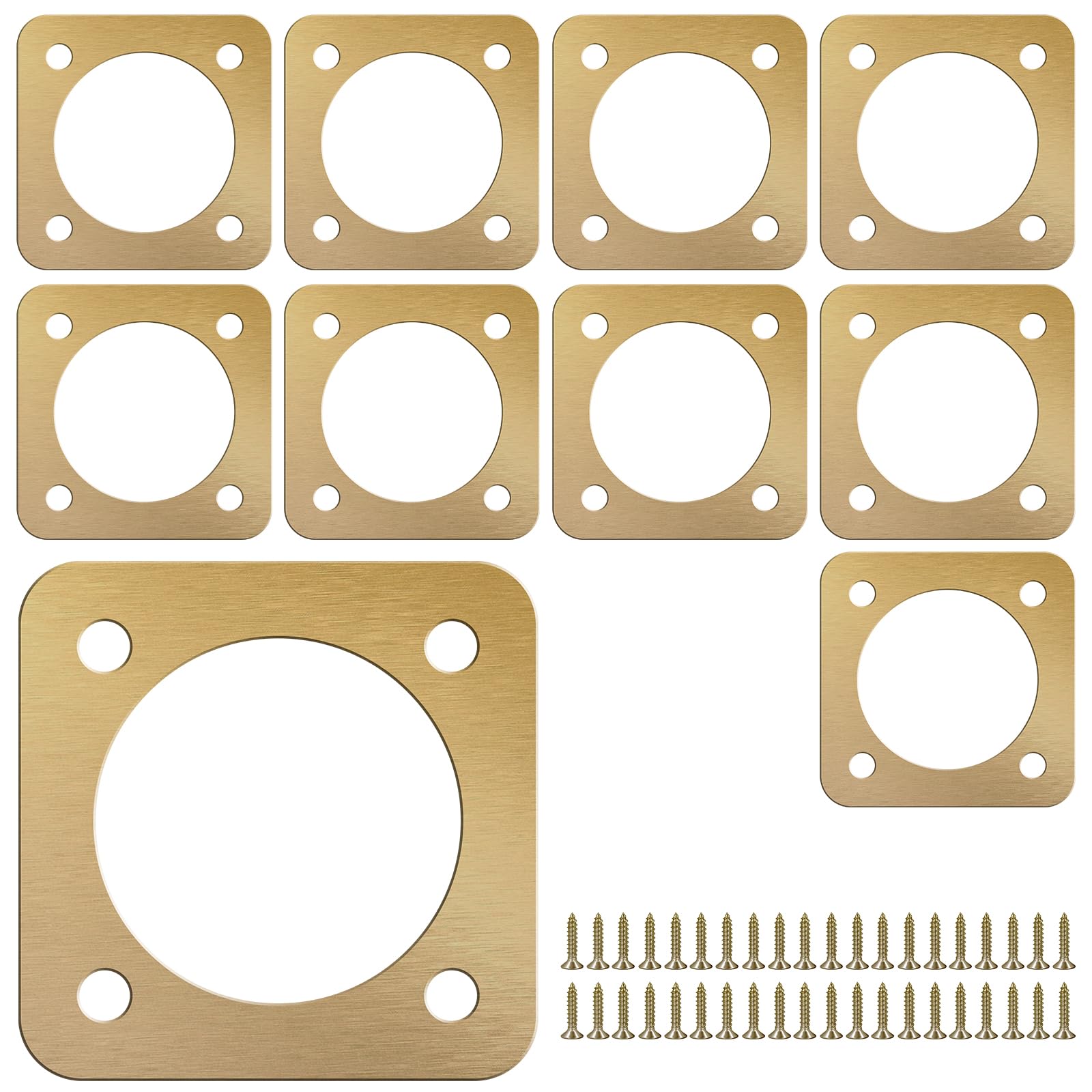 10Pcs Bird Box Protection Plates with Copper Portal, 1.5Inch Opening Rustproof Metal Bluebird House Predator Guard with Screw, Bird House Hole Protector Bird House Guard for Outdoor