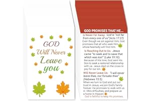 Fankya 240 pcs Gospel Tracts Christian Thanksgiving Romans Road Tracts Serenity Holy Catholic Prayer Cards Armor of God Books of Bible Tracts for Evangelism Church (Fall God Will Never leave You)