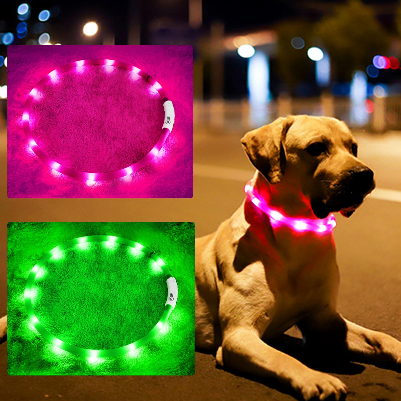 Photo 1 of 2 Pack LED Dog Collar, Rechargeable Light Up Dog Collars, Dog Collar for Night Walking, Improved Dog Safety & Visibility at Night, 3 Flashing Modes,LED Lights Fits for Small Medium Large Dogs