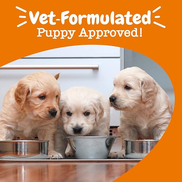 ZESTY PAWS PUPPY MILK REPLACER + COLOSTRUM – MILK REPLACEMENT SUPPLEMENT POWDER FOR PUPPIES & SENIOR DOGS – OMEGA 3 DHA, PREBIOTICS & PROBIOTICS FOR DOGS – FOR SKIN, COAT, HEART & GUT HEALTH – 12 OZ…