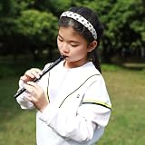 Rayzm Tin Whistle D Key 6-Hole Aluminum Penny Whistle Black view 6