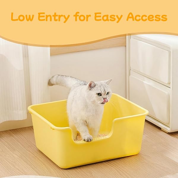 LOOPTIME LARGE CAT LITTER BOX WITH HIGH SIDES,CAT LITTER PAN WITH LOW ENTRY,CAT BOX FOR INDOOR KITTENS & SENIOR CATS,ANTI-SPLASHING,WATERPROOF,EASY TO CLEAN,DURABLE (WHITE)