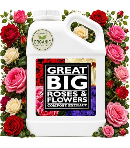Amazon.com : Maxsea Bloom Plant Food 3-20-20 - 6 lb : Pond Plant