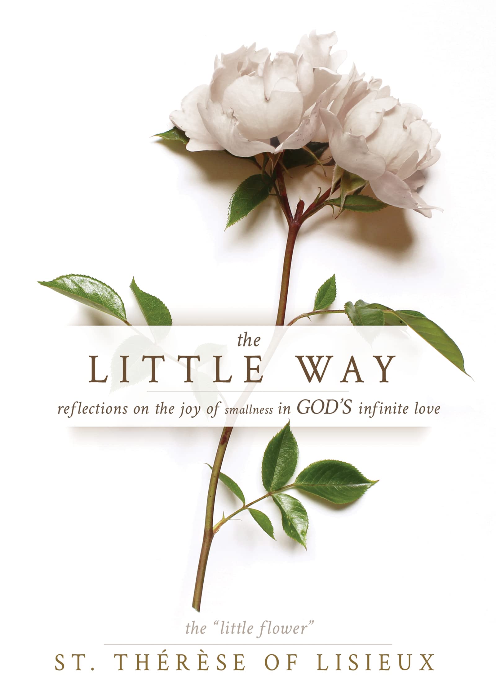 The Little Way: Reflections on the Joy of Smallness in God's Infinite Love The Little Way: Reflections on the Joy of Smallness in God's Infinite Love Paperback Audible Audiobook Kindle