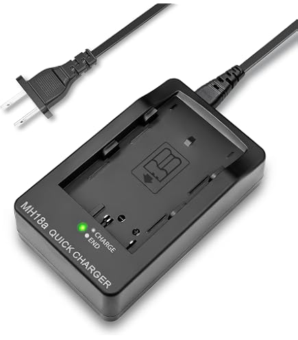 Amazon.com : Nikon MH-18a Quick Battery Charger for the EN-EL3e