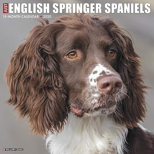 Download Just English Springer Spaniels 2020 Calendar PDF
