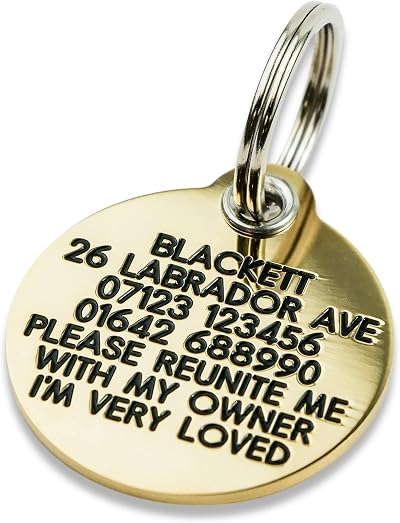 Engraving Studios Deeply Engraved Brass Dog Tag 33mm Round Solid 1.5mm Thick