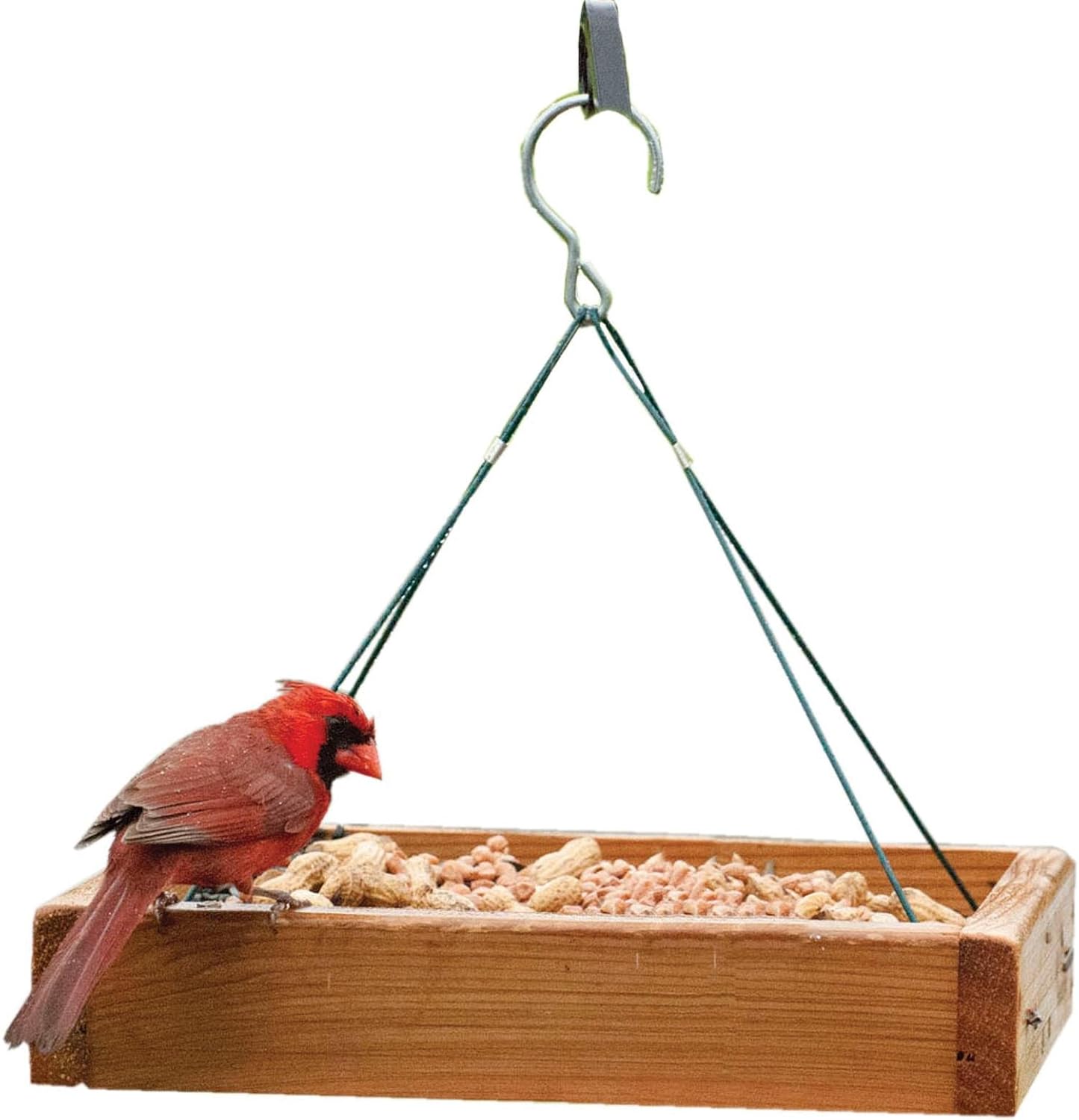 Amazon Com Audubon Woodlink 3 In 1 Platform Feeder Beauty