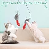FYNIGO Cat Toys for Indoor Cats 2 Pack Self Play Hanging Mouse Toy view 6