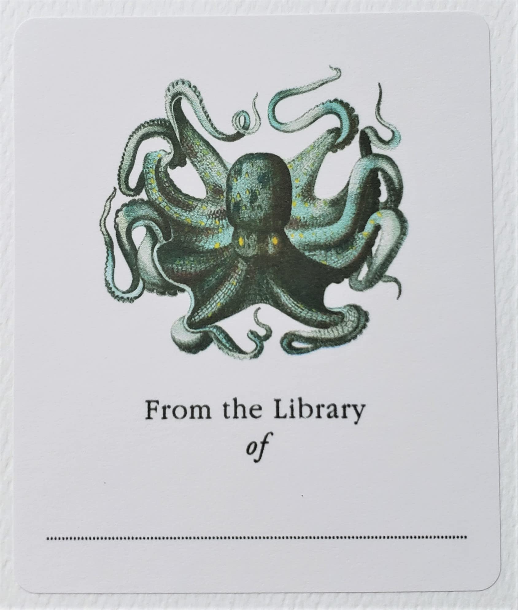 Bookplate with OCTOPUS Illustration. Set of 10. 3" H x 2 1/2" W Fill in Style