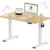FLEXISPOT EN1 48"x24" One-Piece Standing Desk, Maple | 176 LBS Capacity, Seamless Desktop, Home Office, 4 Memory Presets, Dual Monitor Setup, Anti-Collision