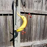 Copper Butterfly Feeder for Garden Patio Outdoor Bird Banana Holder view 2