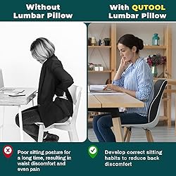 QUTOOL Lumbar Support Pillow with DIY Gift Box