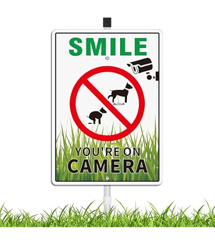 Schild „Smile You’re On Camera“ – Doppelseitig, Wetterfest, Gegen Hunde-Urin