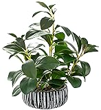 AlphaAcc Artificial Plants Decor Greenery Fake