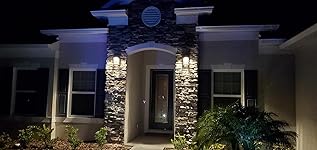 Review Image by dante williams