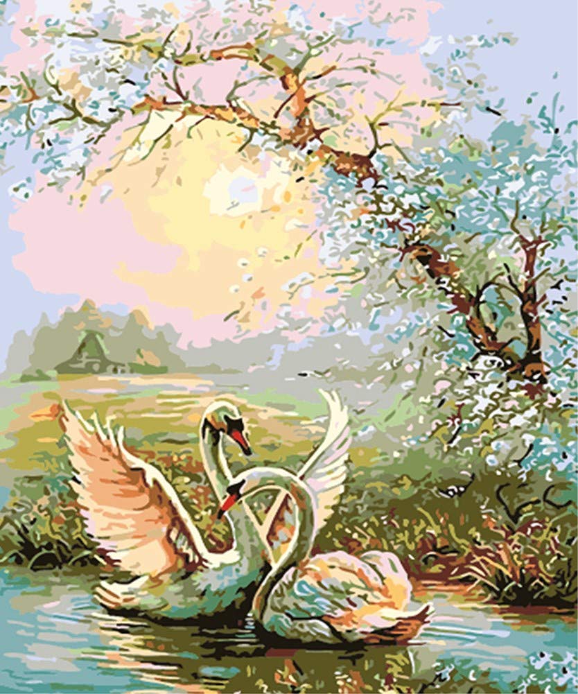 ABEUTY DIY Paint by Numbers for Adults Beginner - Swan in The Lake and Sunset 16x20 inches Number Painting