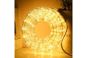 DINGFU 33ft LED Rope Lights,110V 2 Wire Connectable Christmas Rope Lights Outdoor,240 LED Waterproof Indoor Outdoor Warm Rope Lights for Deck, Patio, Pool, Camping, Landscape Lighting (Warm White)