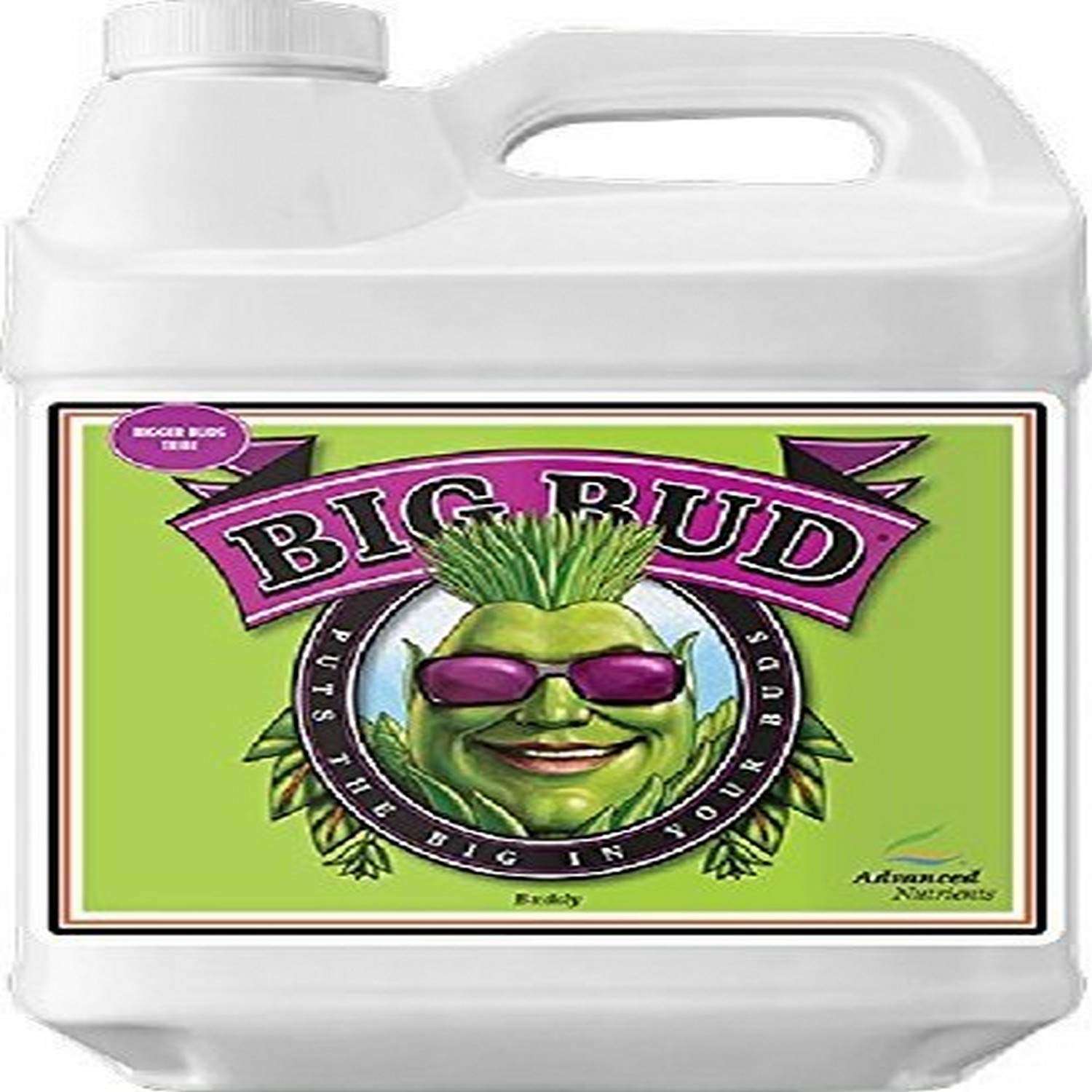Advanced Nutrients 5050-16 Big Bud Liquid Fertilizer, 10 Liter, Brown/A
