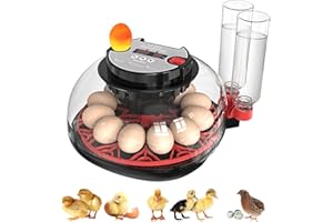 SAFEGO Incubators for Hatching Eggs: Chicken Quail Duck Bird Chick Egg Incubator kit with Automatic Egg Turner & Humidity Display,360 Incubator hatcher for Turkey Parrot Goose 12-24 Egg