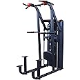 Body Solid (S2ACDX-2) Pro Clubline Series II Chin and Dip Machine, Commercial and Home Fitness Equipment, Pull Up Station and Dip Bars for Strength Training, 235 Lb. Weight Stack