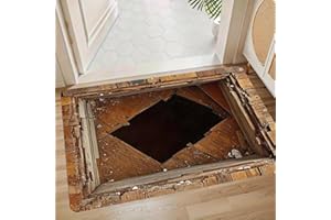 3D Visual Illusion Rug Realistic Cave Floor Rug Unique Optical Illusion Rug for Living Fun Room Rug Decor Novelty Popular Rug