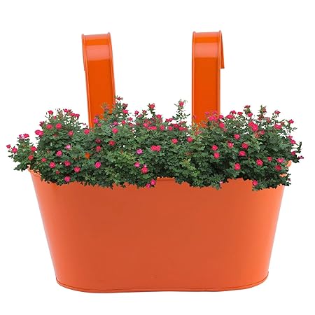 GIG Handicrafts Modern Style Iron Oval Railing Planter (Pack of One) with Railing Handle and Wall Hook Behind (27 cm x 15 cm x 25 cm, Orange)