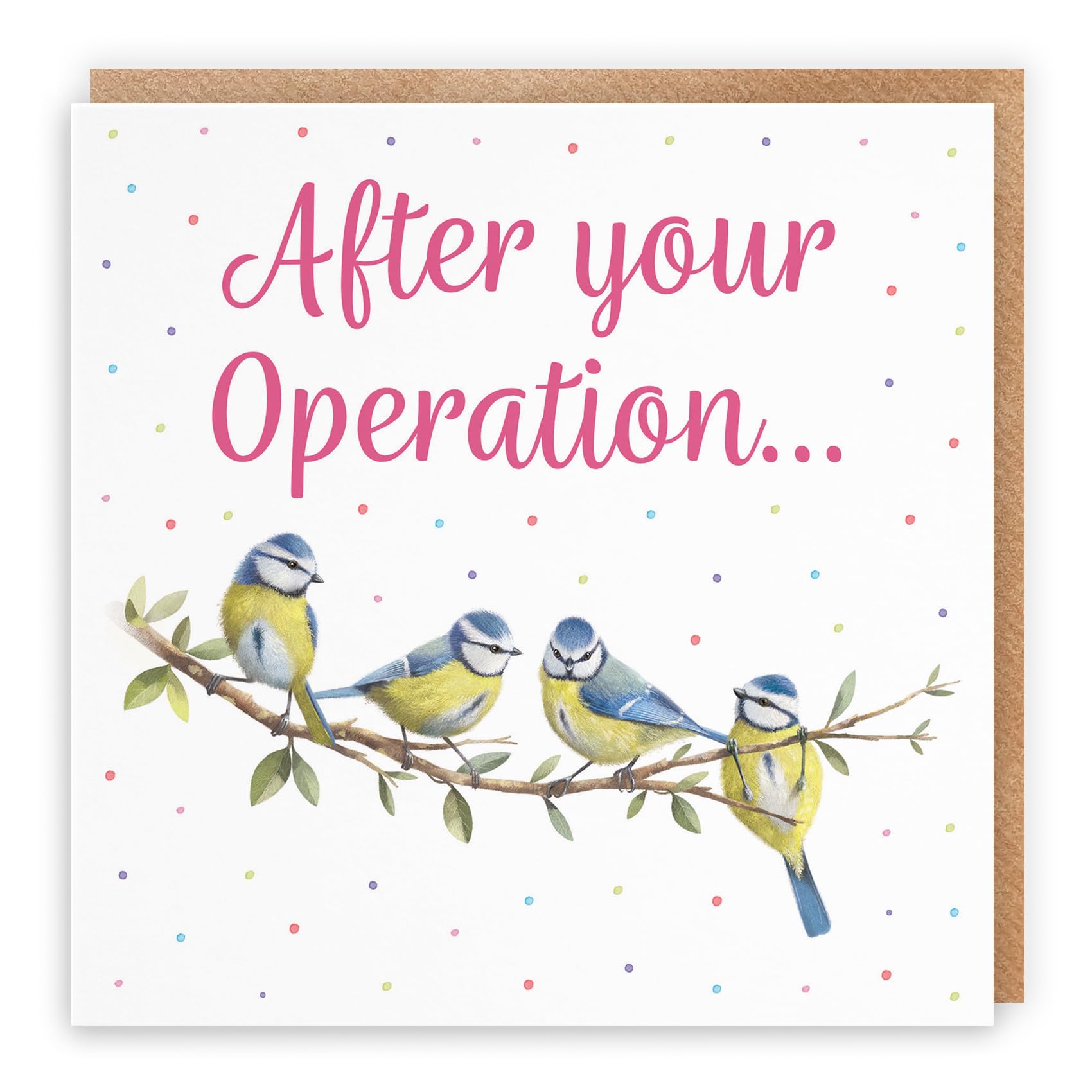 Hunts England - Blue Tits After Operation Card For Her - Milo's Gallery - Female Get Well Soon Card - Feel Better Soon Speedy Recovery Card For Animal Lovers - For Girls, Women