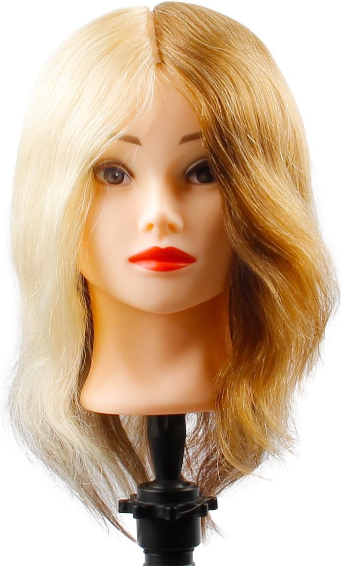 Cosmetology Mannequin Head with Human Hair 4 Colors Hair Manikin Head 100 Real Human Hair 4 Sections of Light Brown,Ice Blonde,Grey,Medium Brown