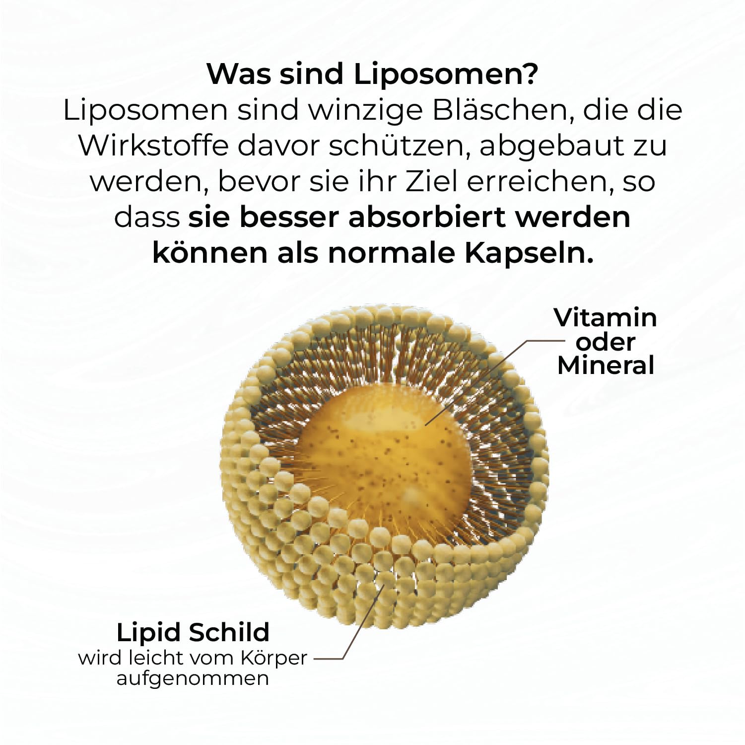 Zink Kapseln Hochdosiert 20 mg - Liposomales Zink mit Hoher Bioverfügbarkeit - Für Haut Haare Nägel & Immunsystem - Vegan - 90 Kapseln - GMP Qualität 4