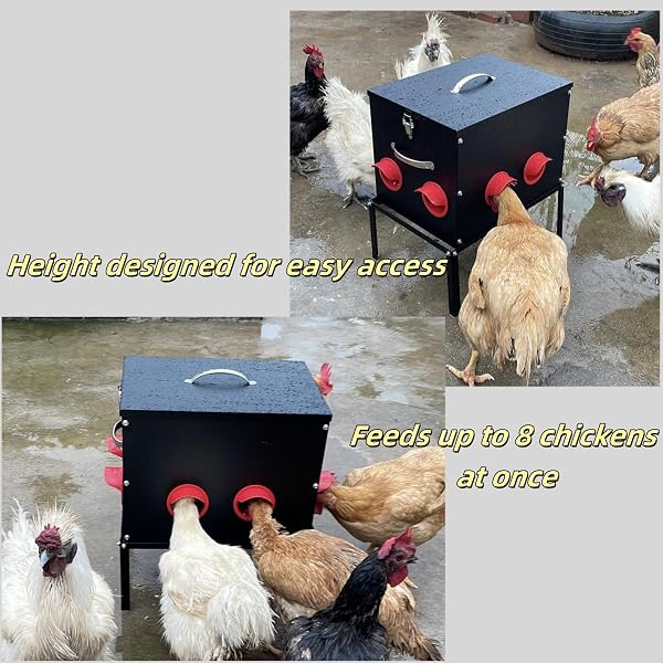 AUTOMATIC CHICKEN FEEDER –50 LBS 8 FEEDING PORTS,LARGE METAL CHICKEN FEEDERS – NO WASTE POULTRY FEEDER WITH LOCKING LID AND LEGS FOR INSIDE COOPS