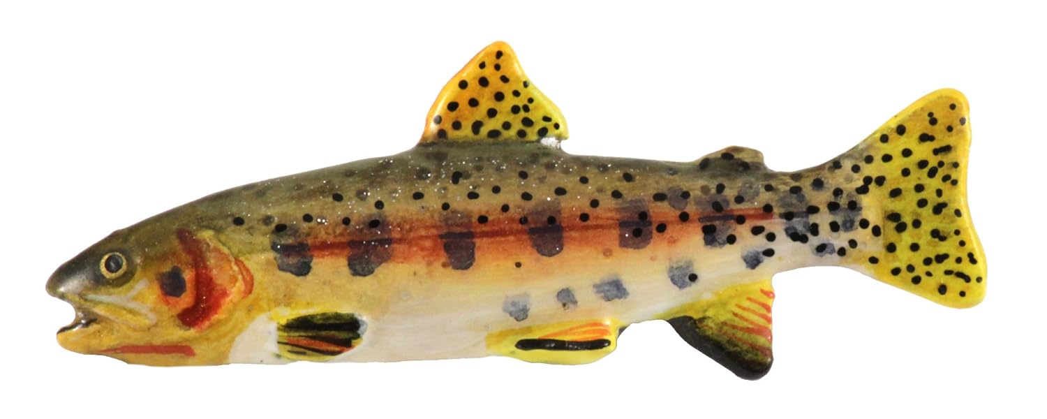 pintado Humboldt técnica imán del refrigerador~FP014WM: Amazon.es ...