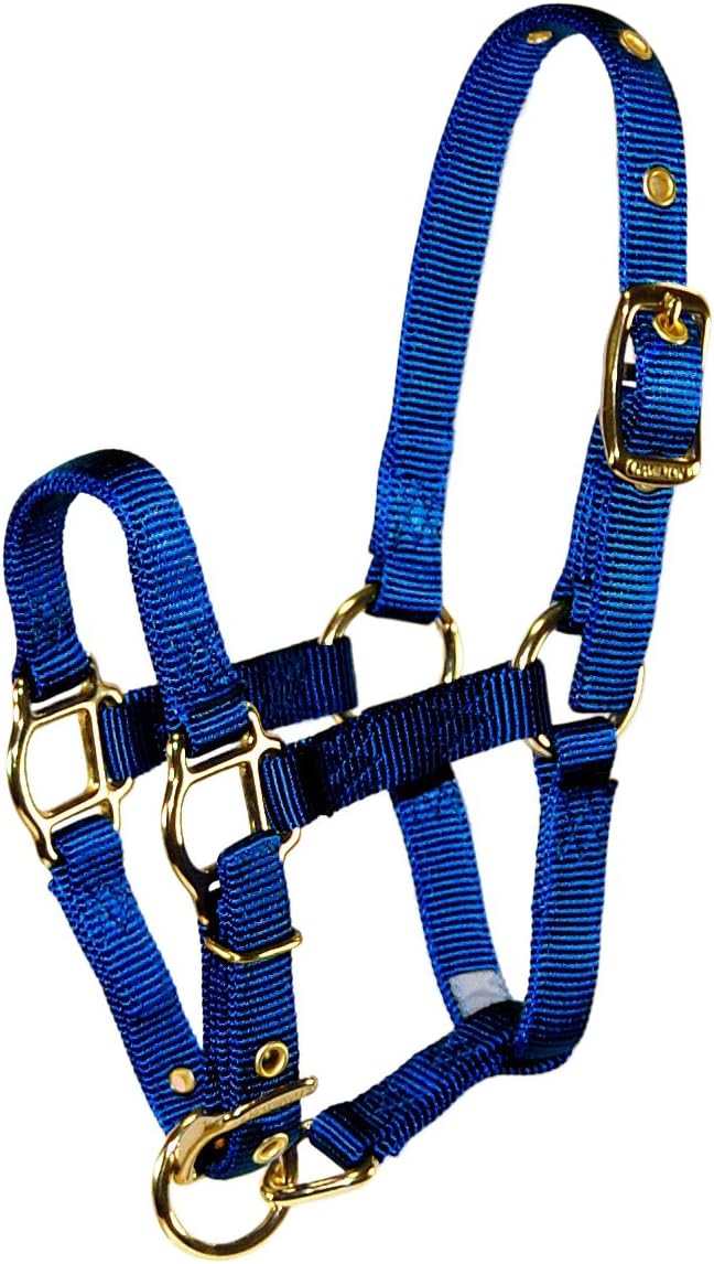 Average Navy Blue Hamilton Adjustable Miniature Nylon Horse Halter