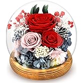 Preserved Flowers Rose in Glass Dome Forever Flowers Eternal Roses with Light Long-Lasting Real Flowers Mothers Day Birthday for Women Mom Grandma, Red