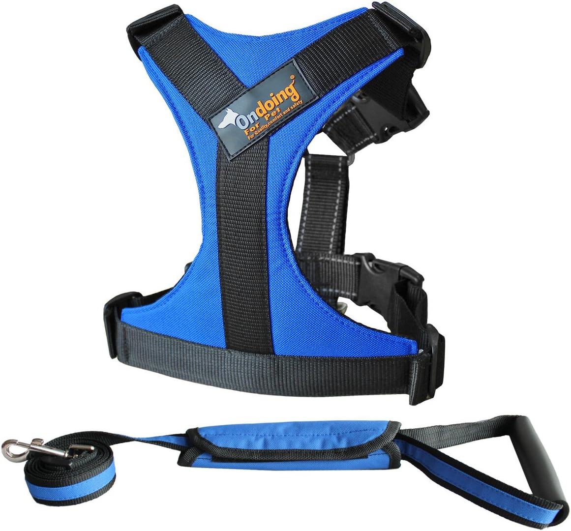 Adjustable Dog Vest Harness with Leash - Secure Reflective Nylon Lightweight Dog Walking Harness Vest - Durable and Breathable Dog Pulling Harness (L, Blue)