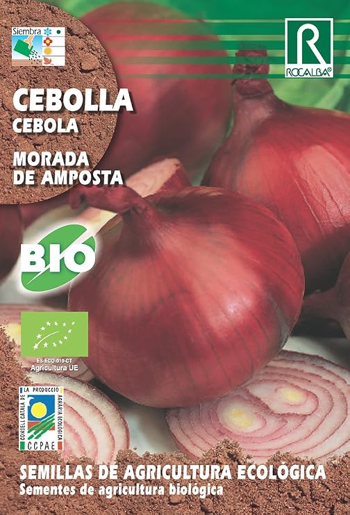 Semillas ECOLOGICAS Cebolla Morada de Amposta: Amazon.es: Jardín