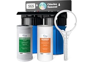 iSpring WGB21B 2-Stage Whole House Water Filtration System, with 10" x 4.5" Sediment CTO(Chlorine, Taste, and Odor) Filter, 1