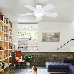 Ceiling Fans with Lights,Modern Low Profile Ceiling