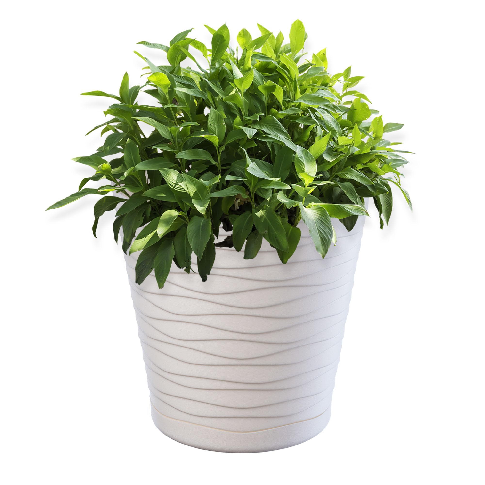 KADAX Plastic Flowerpot, Indoor Plant Pot with Saucer, Lightweight Flower Pot in Several Colours and Sizes, Unique Planter for Houseplants (17 cm, Cream)