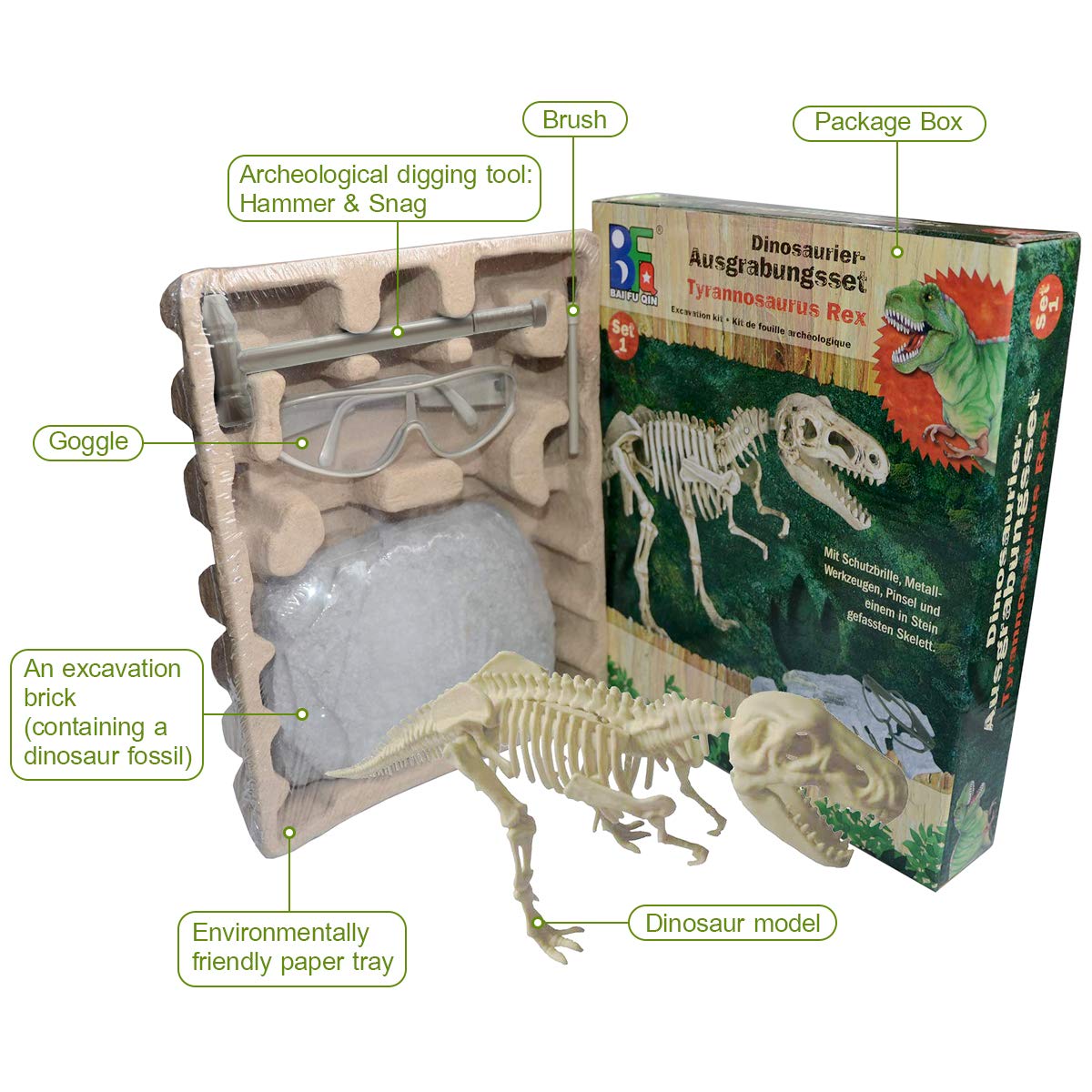 children's paleontology kit