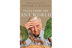 Tales from the Ant World