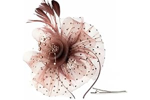 fghuim Women's Organza Church Kentucky Derby British Bridal Tea Party Wedding Hat Feather Hair Clip Fascinators Hat
