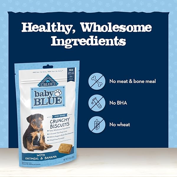 BLUE BUFFALO BABY BLUE CRUNCHY BISCUITS WITH DHA, CRUNCHY DOG TREATS FOR PUPPIES, MADE WITH NATURAL INGREDIENTS, OATMEAL & BANANA, 8-OZ BAG