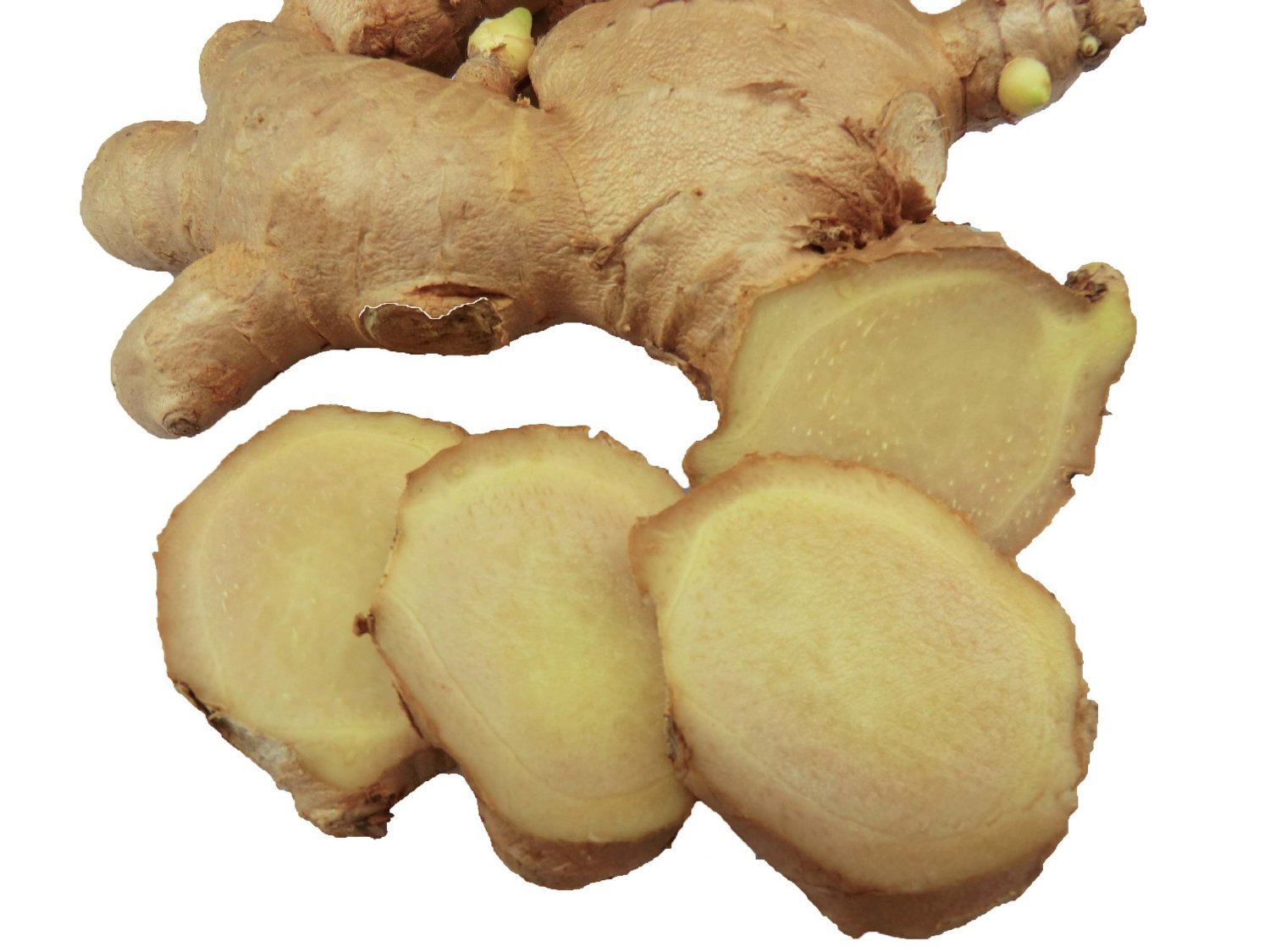 Ginger Root Figging